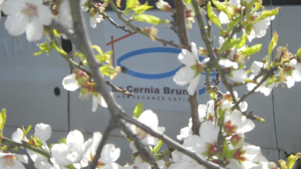 Case Vacanze La Cernia Bruna Isola di Ustica Esterno foto